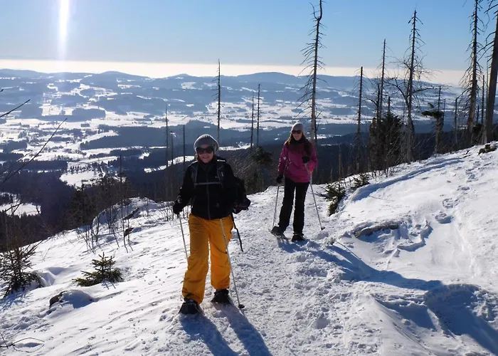 Johanna * Schwarzenberg am Bohmerwald
